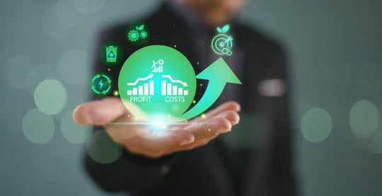 Sustainable Profitability: Balancing Green Goals with Lean Operations Using APS-PlanetTogether