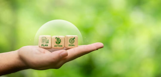 Sustainable Profitability: Balancing Green Goals with Lean Operations Using APS-PlanetTogether