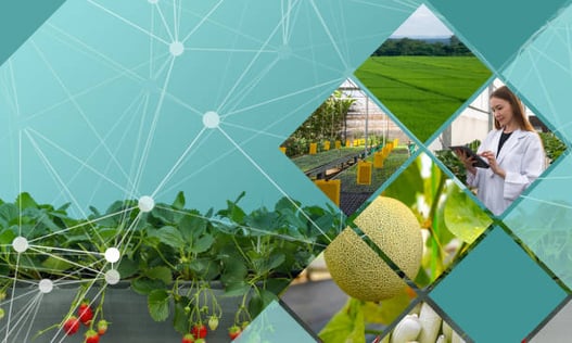 Bridging Health and Sustainability in Food & Beverage Manufacturing Through IT Innovation and APS Integration-PlanetTogether