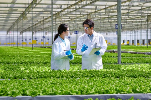 Bridging Health and Sustainability in Food & Beverage Manufacturing Through IT Innovation and APS Integration-PlanetTogether