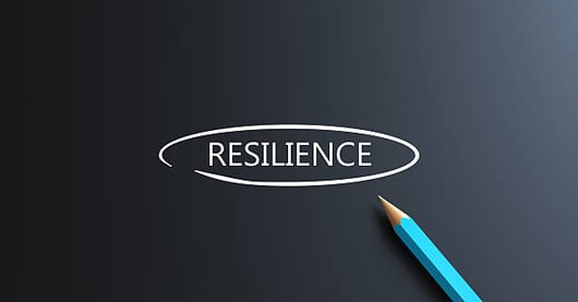 Building Resilience Through Restructuring: How Food & Beverage Supply Chains Can Adapt and Thrive Amid Disruption-PlanetTogether