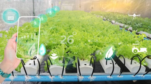 Digitizing Sustainability: How Manufacturing IT Can Tackle Environmental Concerns in Food and Beverage Production-PlanetTogether