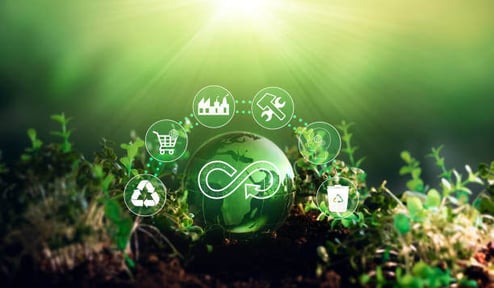 Sustainability with Circular Supply Chains: A Strategic Imperative for Supply Chain Managers in Food and Beverage Manufacturing-PlanetTogether