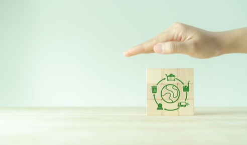 Sustainable Packaging Innovations: A Strategic Imperative for Operations Directors in Packaging and Containers Manufacturing-PlanetTogether