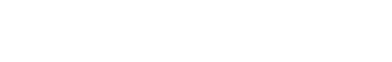 PlanetTogether white logo