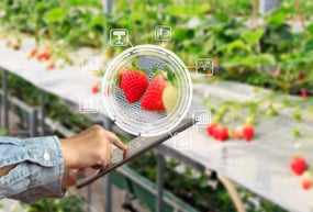 Maximizing Efficiency: Exploring Advanced Quality Control Technologies in Food and Beverage Manufacturing