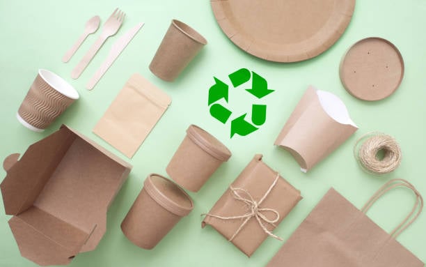 Supply Chain Manager Packaging Sustainable Packaging and Reducing Plastic Waste