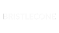 Bristelcone